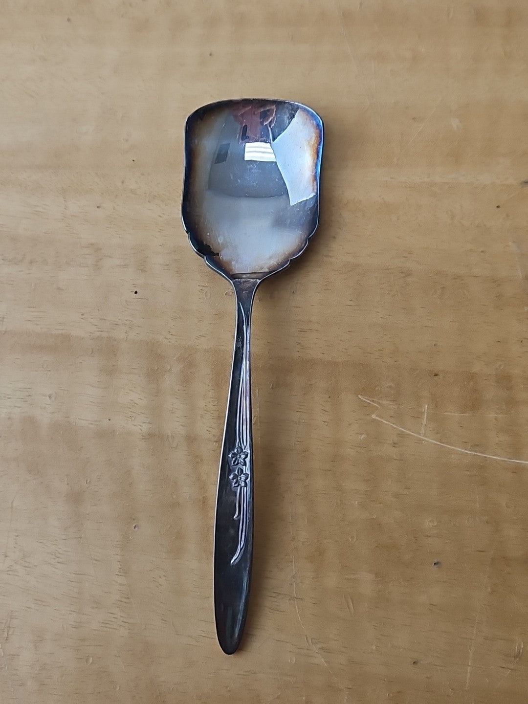 47091507