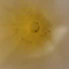 47159871