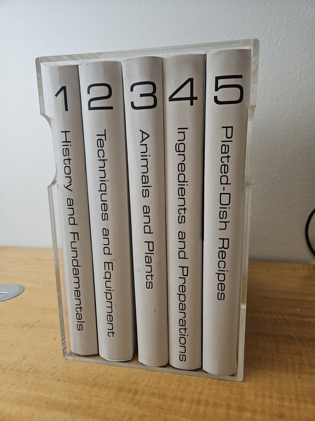 46893923
