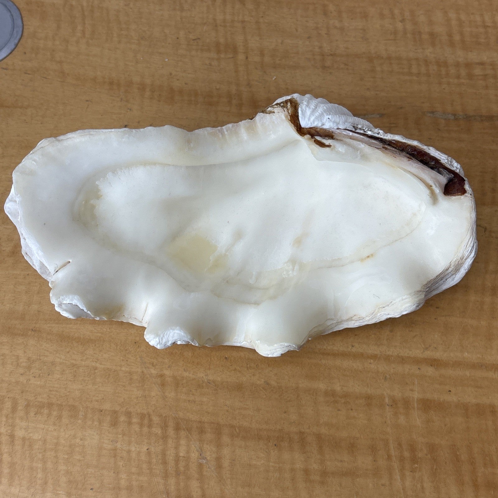 47286618