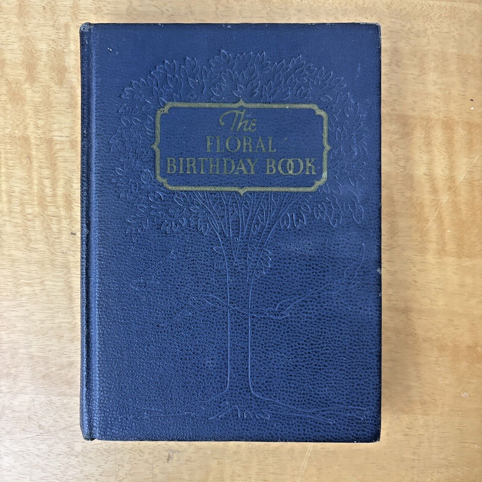 44026680