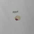 47029927