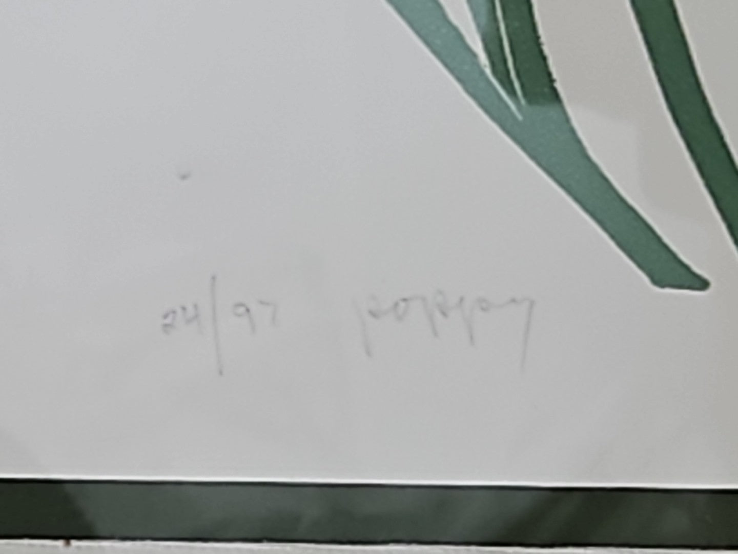 45356020