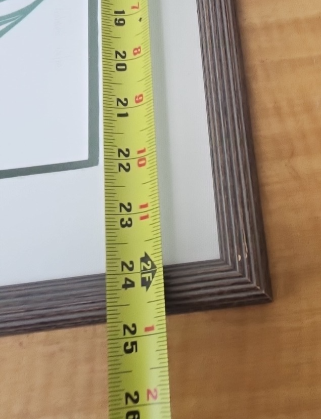 45356020