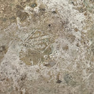 47029284