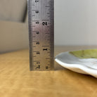 45512556