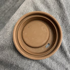 47551815