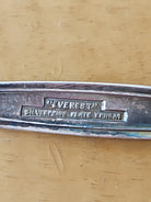 47091507
