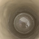 47365981