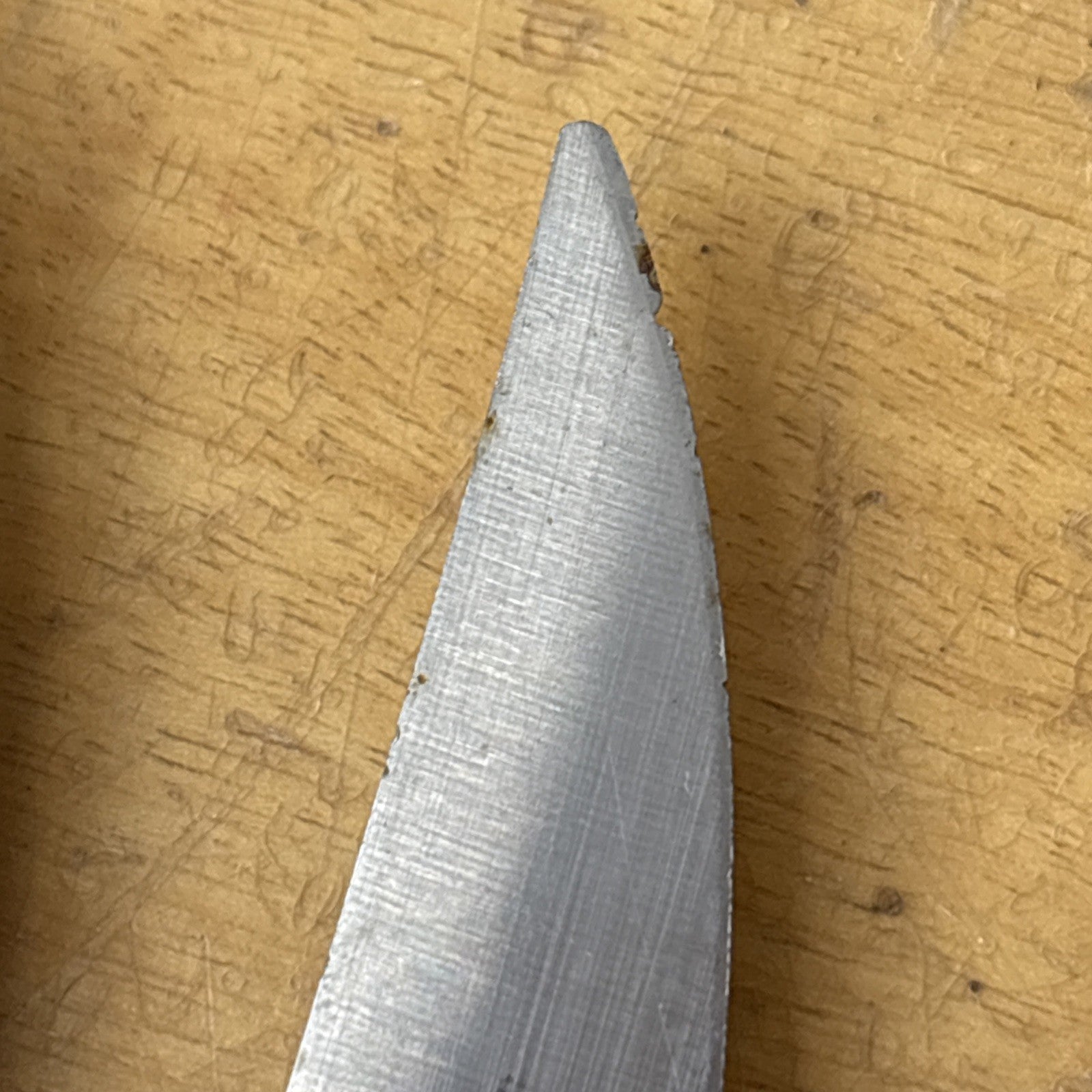 47539350