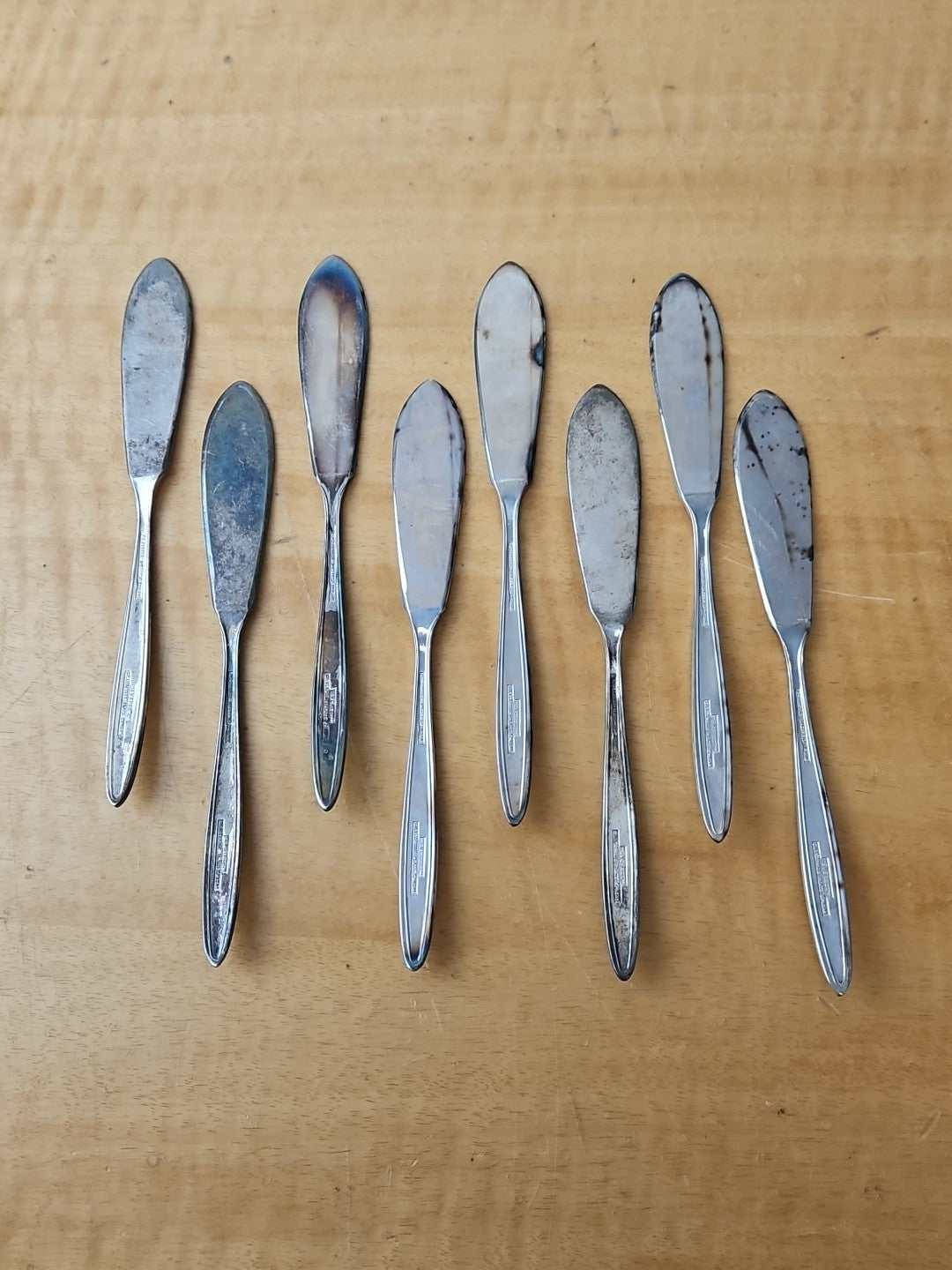 47091067