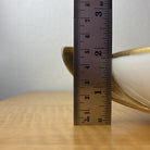 44050966